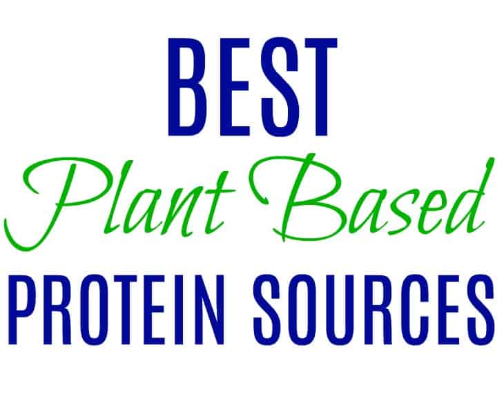 20 Best Plant Based Protein Sources (Vegan)