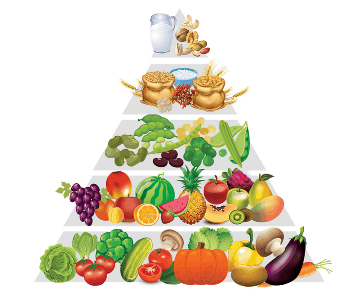 The Vegan Food Pyramid For Weight Loss (+ Meal Plan)