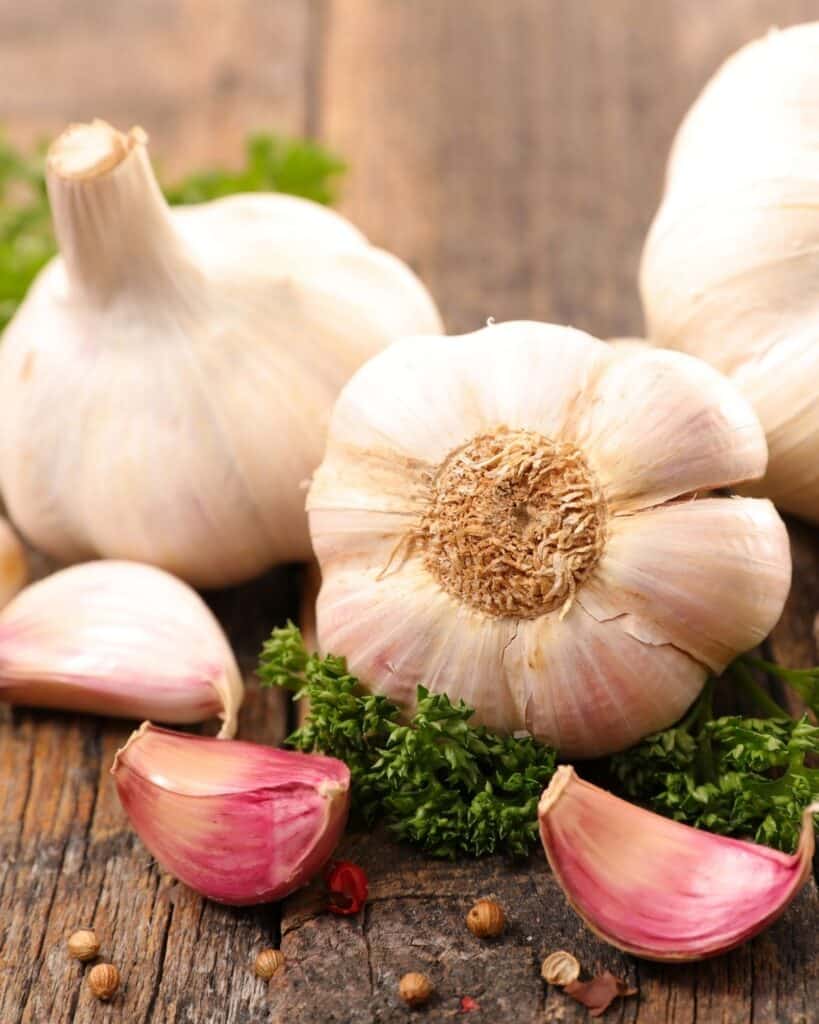 immunity boosting garlic