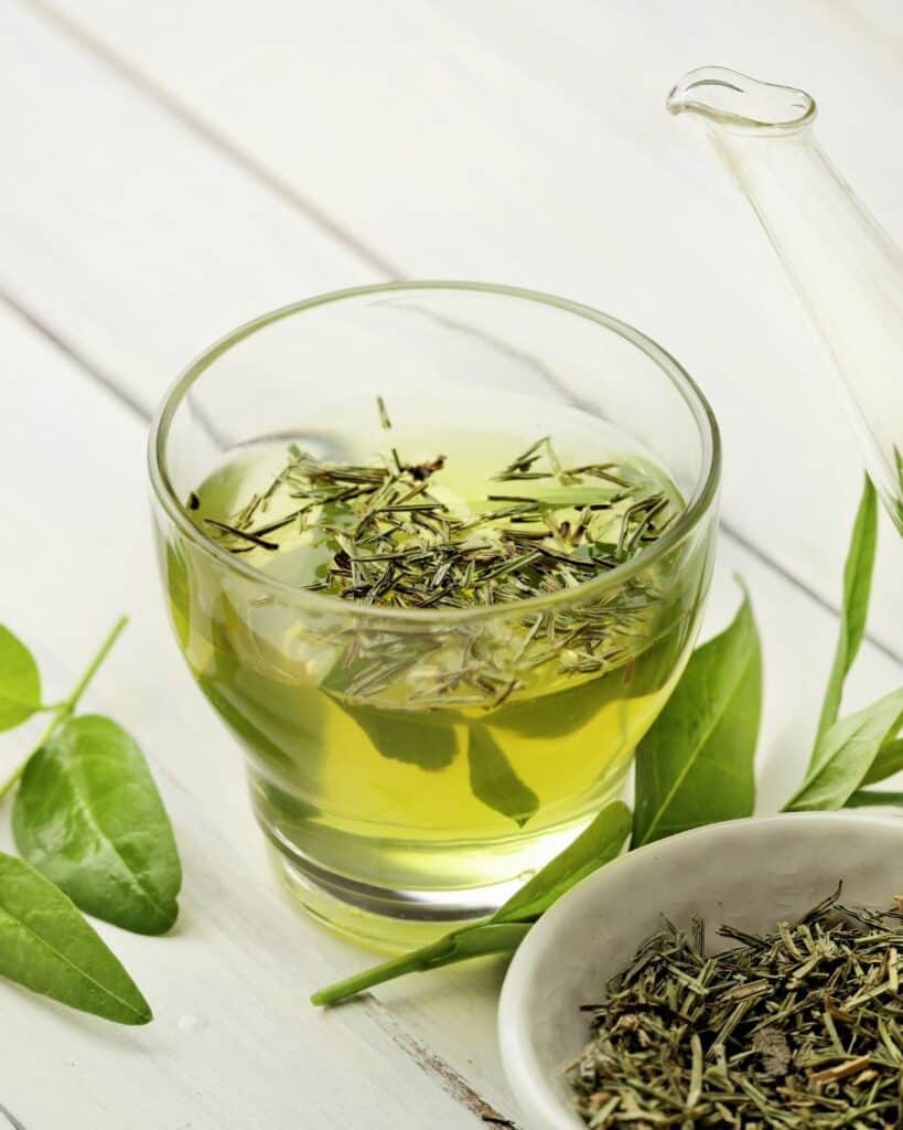 green tea for boosting immune system