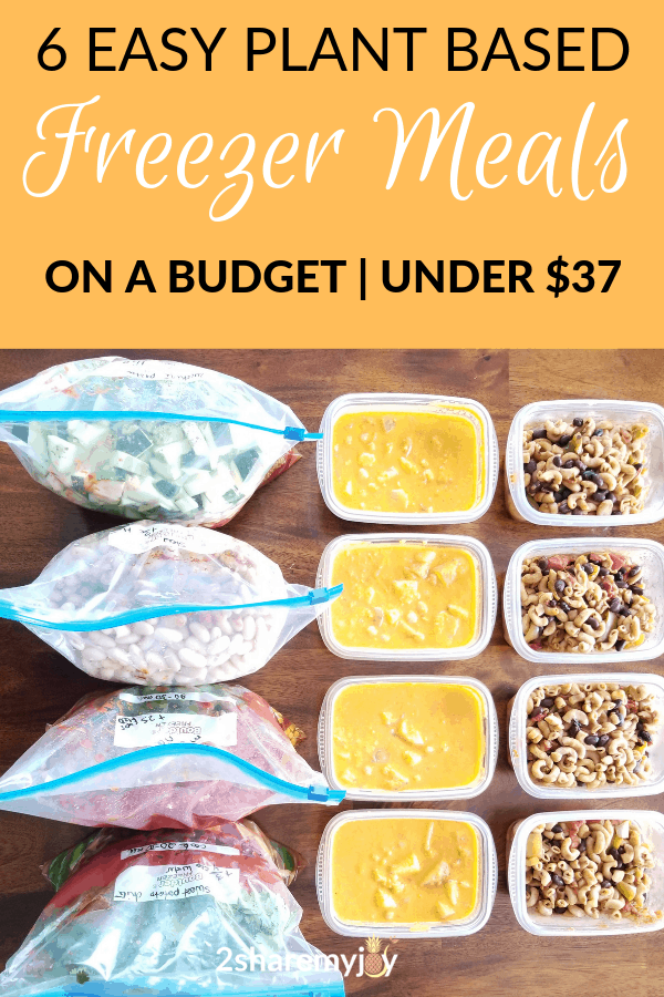6 HEALTHY PLANT BASED FREEZER MEALS ON A BUDGET. 24 SERVINGS MEAL PREP FOR UNDER $37