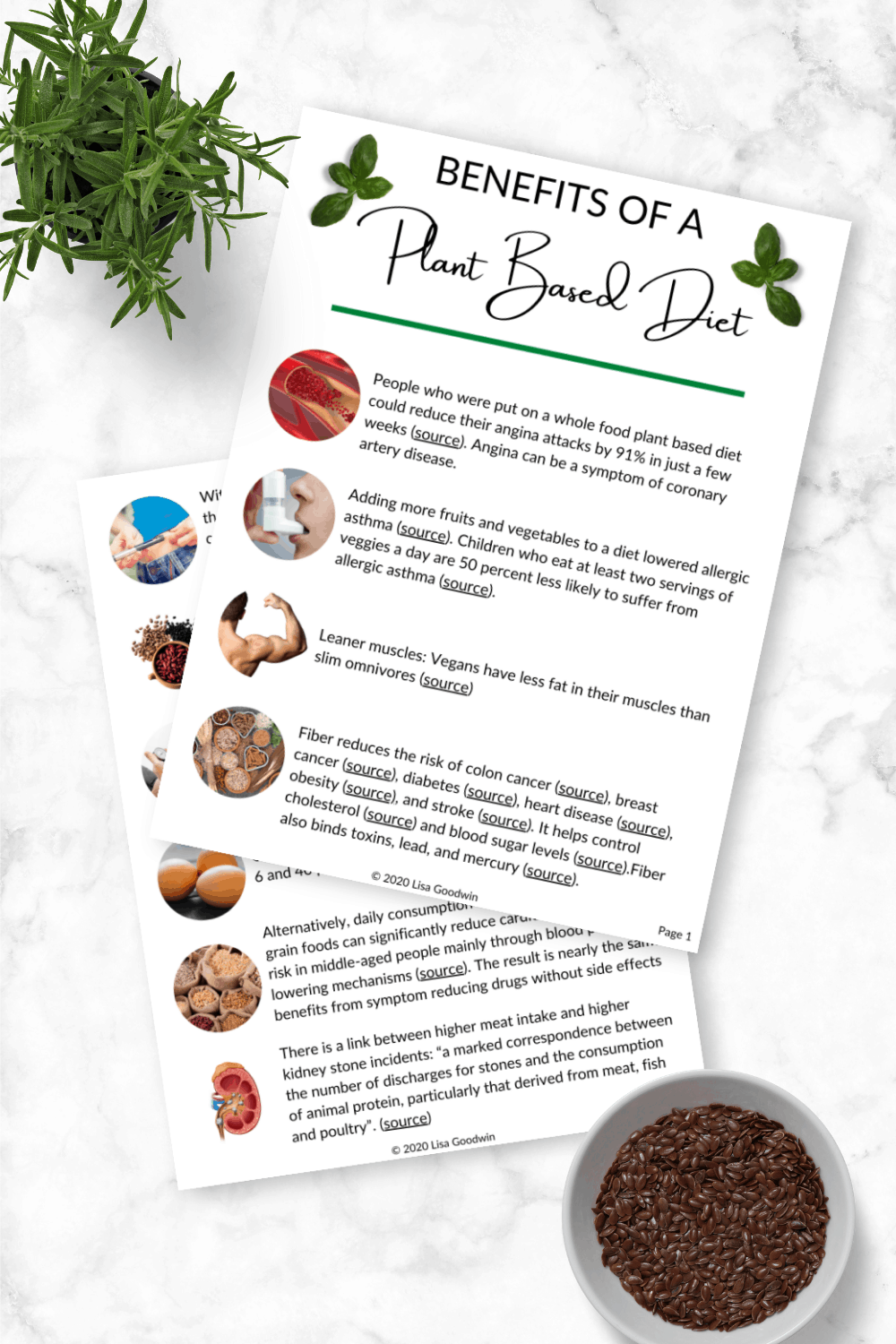 Benefits Plant Based Diet Mockup