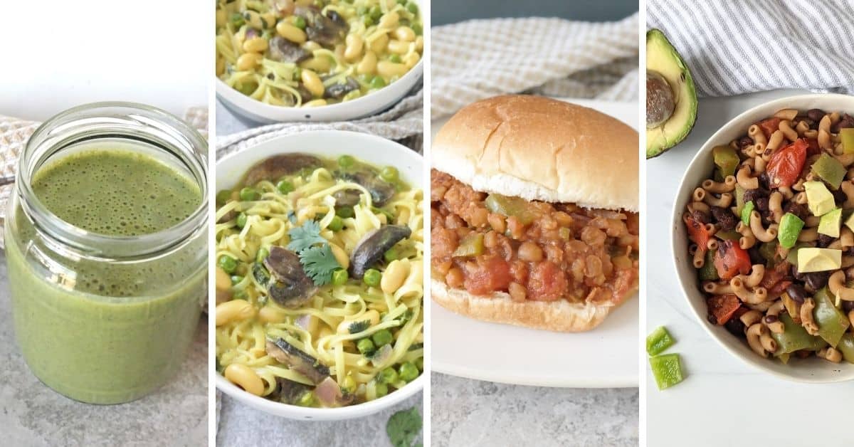 Vegan High Protein Meal Plan [120 g Plant Based Protein] - 2sharemyjoy.com