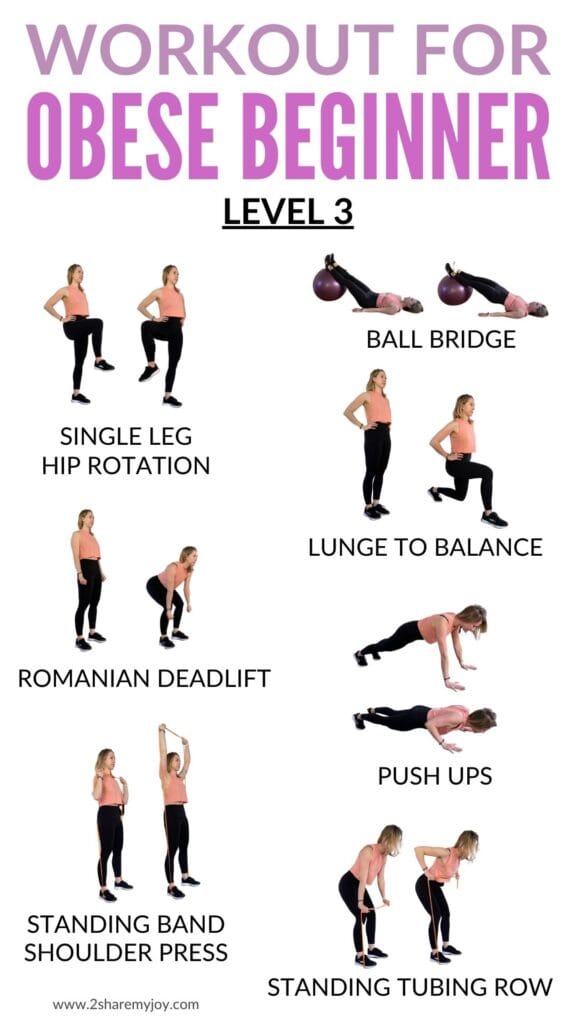 LEVEL 3 OBESE BEGINNER WORKOUT