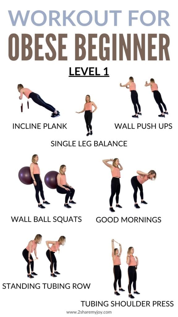 LEVEL 1 WORKOUT FOR OBESE BEGINNER AT HOME OR AT GYM