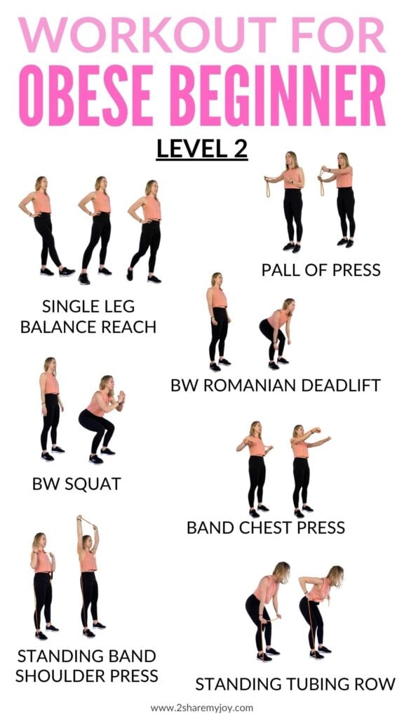 LEVEL 2 WORKOUT FOR OBESE BEGINNER AT HOME OR GYM