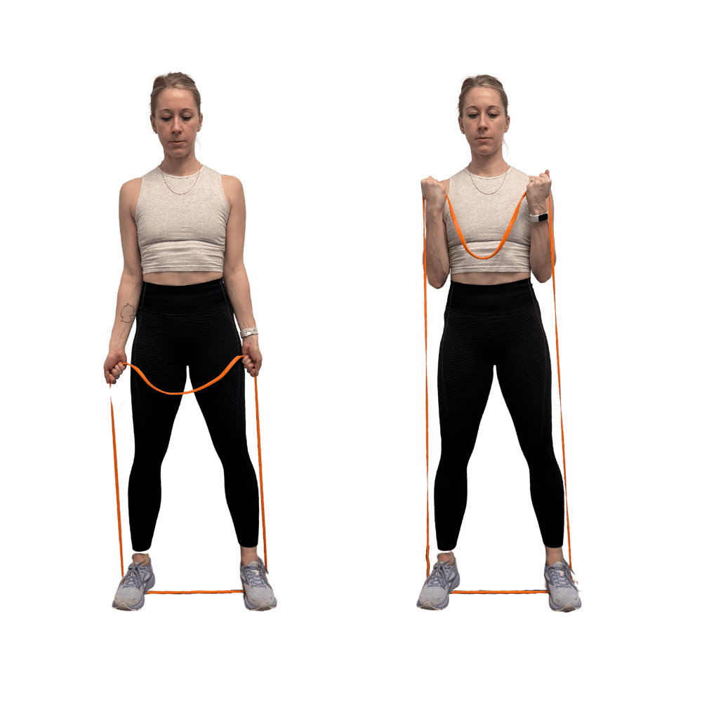  Resistance Band Bicep Curl