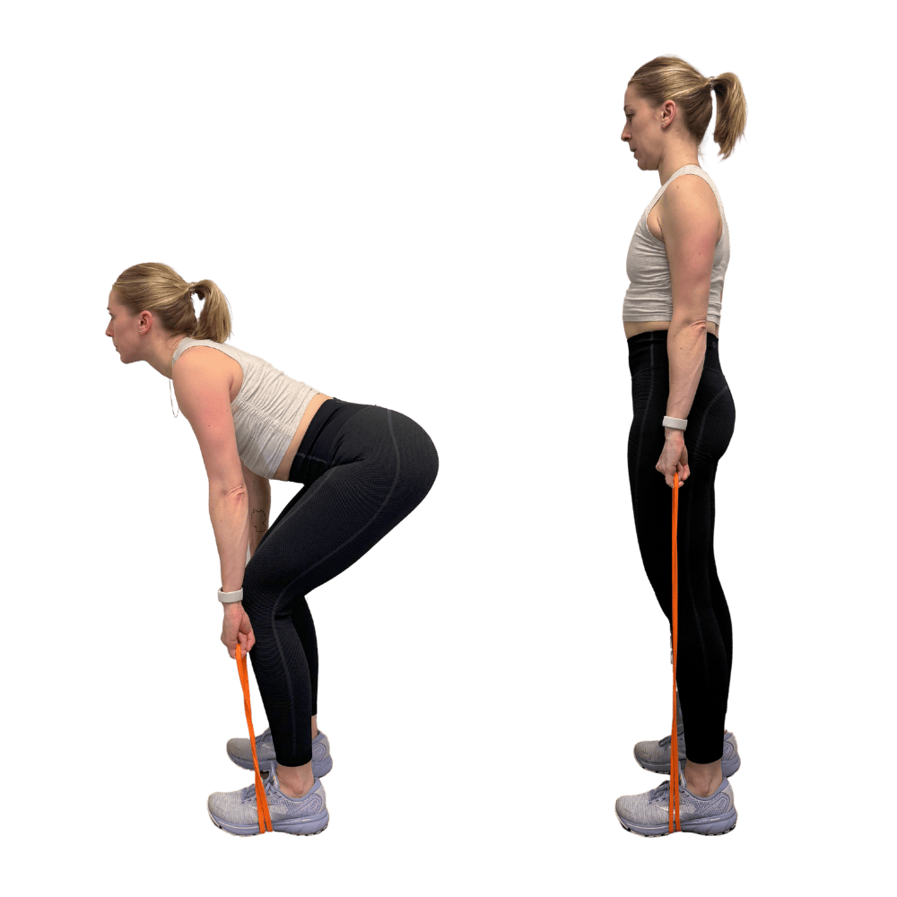 11 Resistance Band Back Exercises 2sharemyjoy
